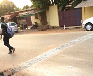 Exemple de dos d'&acirc;ne qui foisonnent &agrave; Conakry en Guin&eacute;e