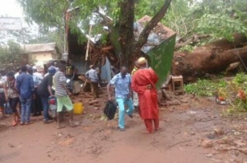 Article : Conakry : quand arrive la pluie, les dégâts s’annoncent